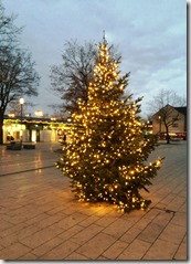 16 Weihnachtsbeleuchtung 02.12.2015 (15)