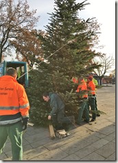 01 Weihnbachtsbaum 23.11.2016 (10)