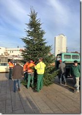 01 Weihnbachtsbaum 23.11.2016 (12)