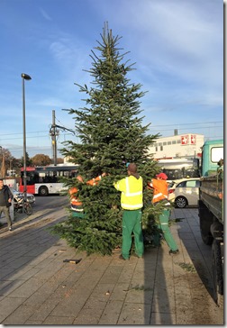 01 Weihnbachtsbaum 23.11.2016 (13)