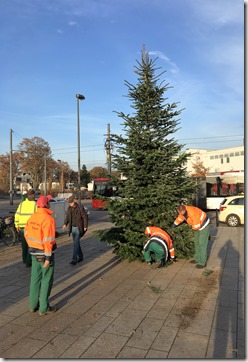 01 Weihnbachtsbaum 23.11.2016 (15)