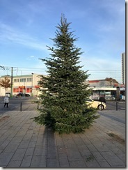 01 Weihnbachtsbaum 23.11.2016 (1)