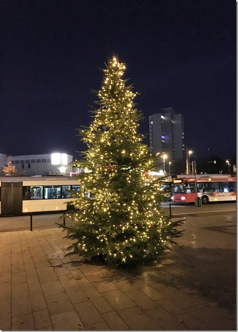 16 Weihnachtsbaum 28.11.2016 (5)