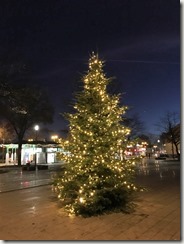 16 Weihnachtsbaum 28.11.2016 (1)