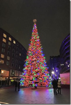 IMG_8871